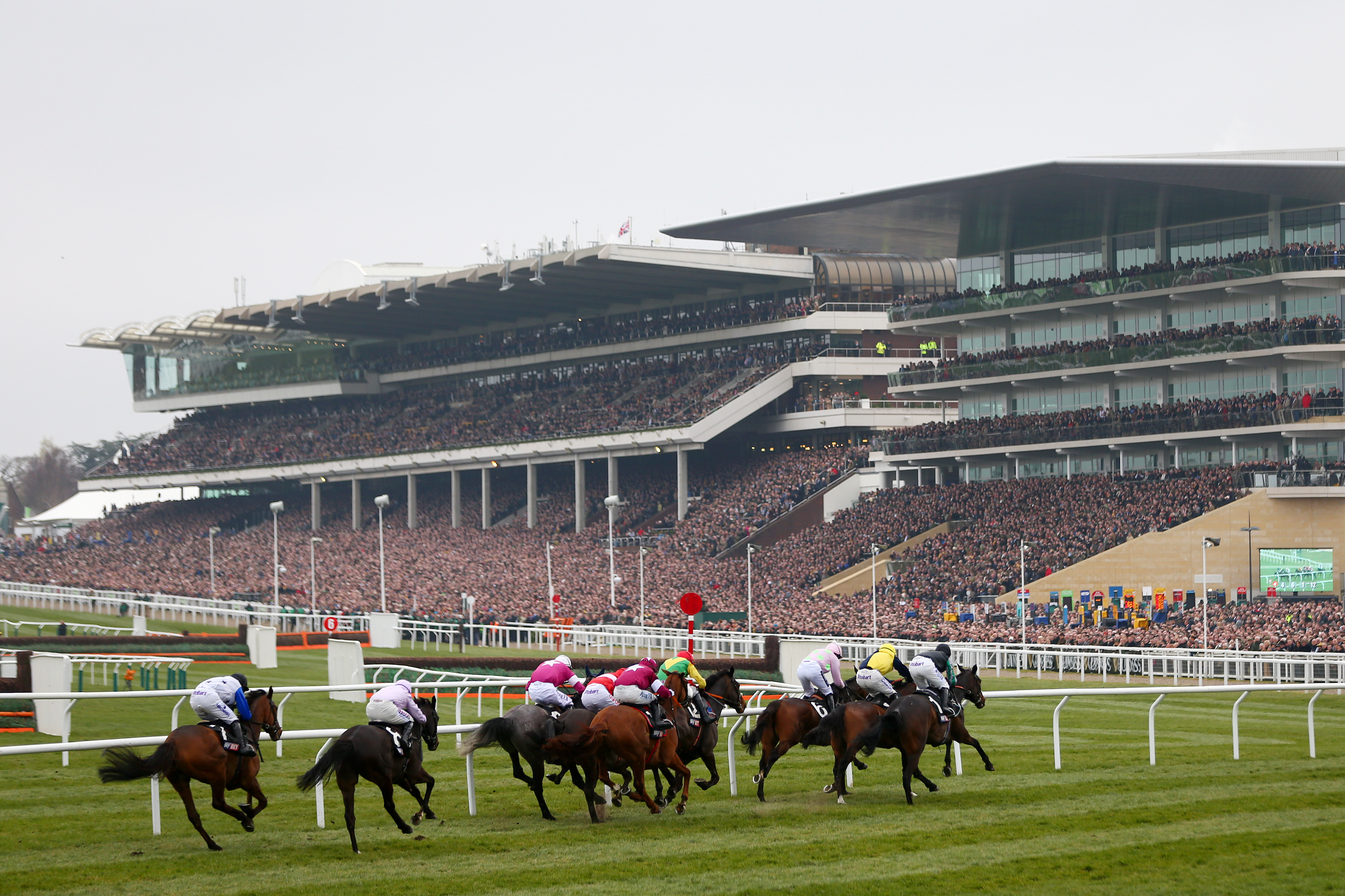 A group of horses racing at a sporting event
