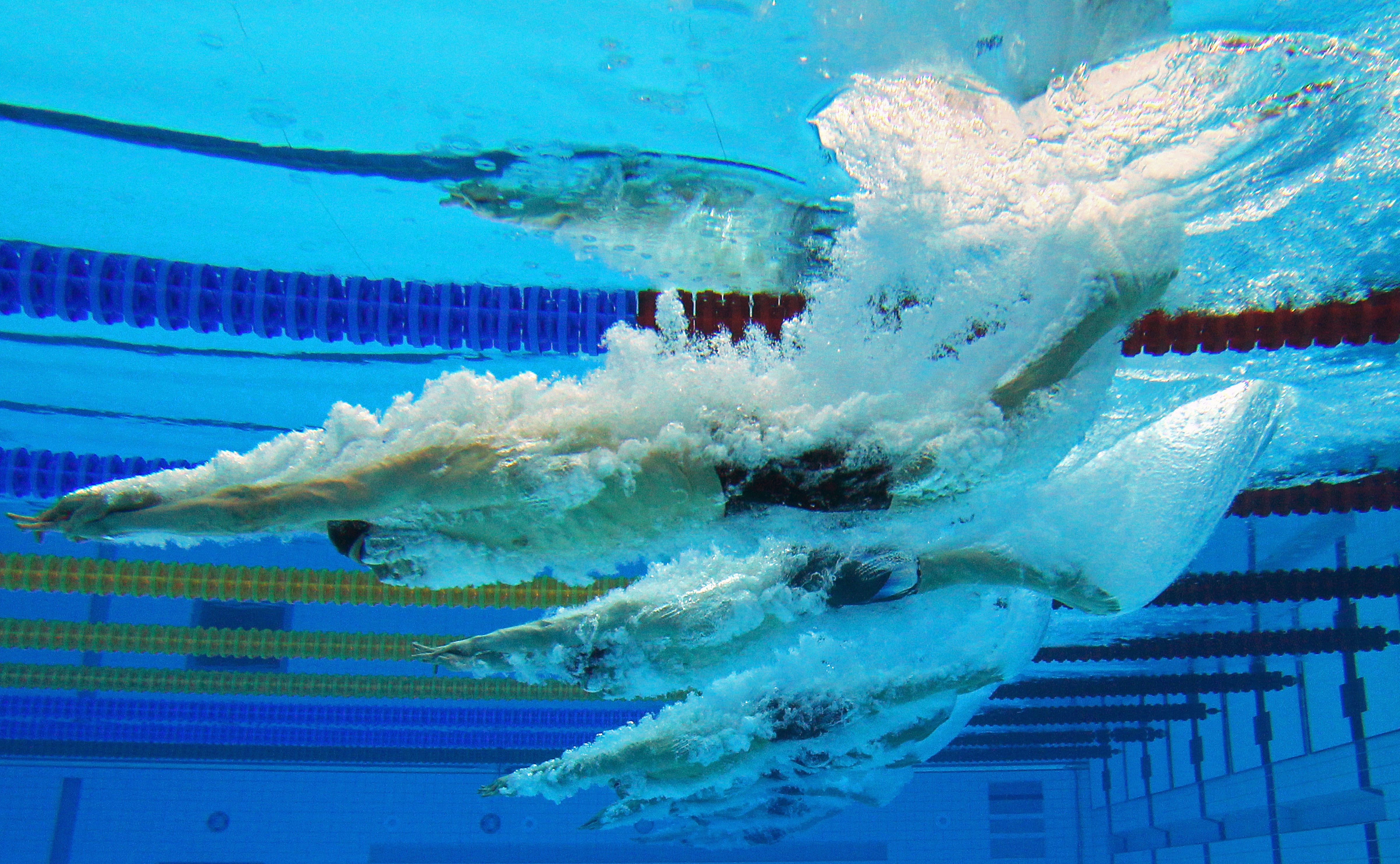 A swimmer underwater having just dived in, their arms stretch out in front of them.